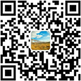 ΢����ѯ